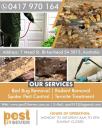 Spider Pest Control Adelaide | Pest 24 seven logo